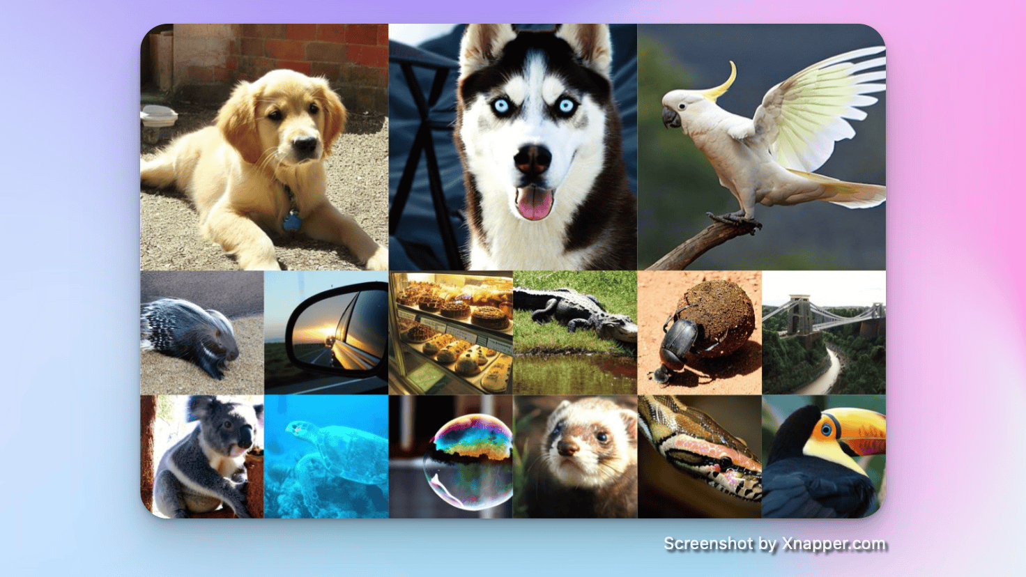 小互日报-2 月 17 日