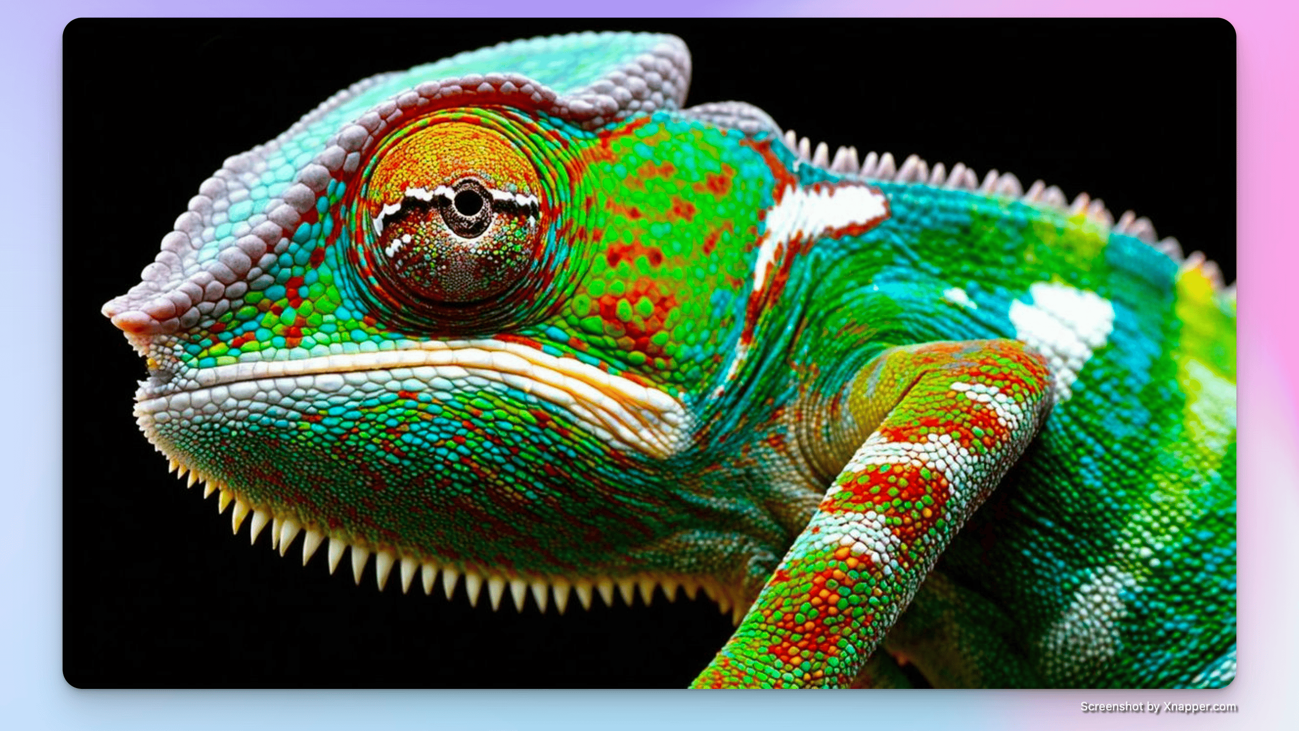 小互日报-2 月 22 日