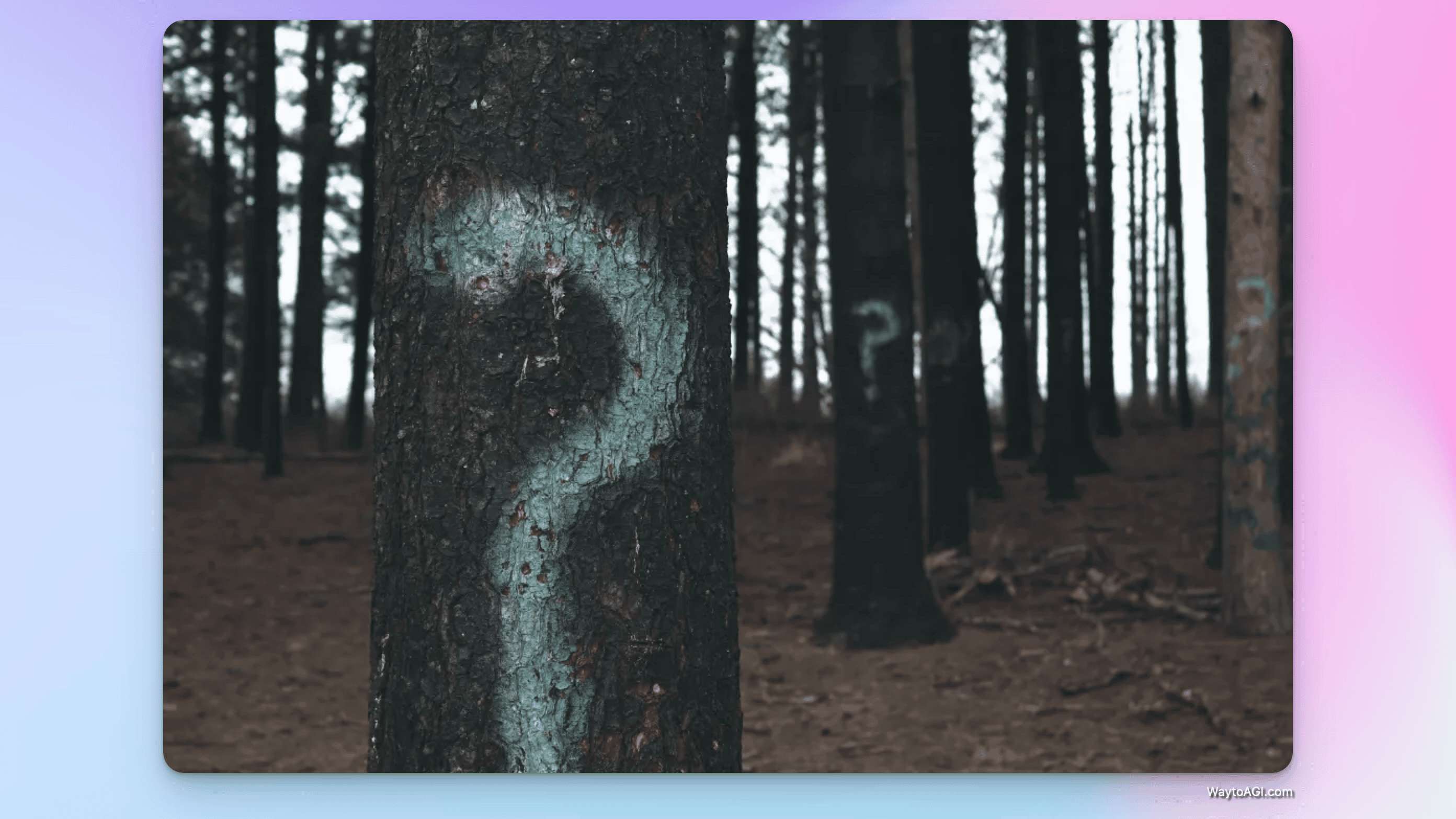 notion image